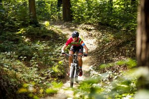 Fietsverhuur Overijssel