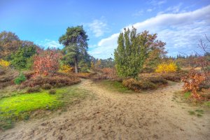 Fietsverhuur Drenthe