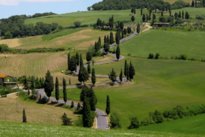 Siena Bike Rental