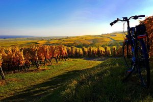 Alsace bike rental