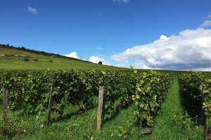 Burgundy bike rentals