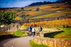 Burgundy bike rentals
