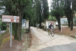 Chianti bike rentals