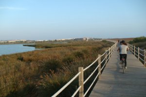 Sagres Bike rental